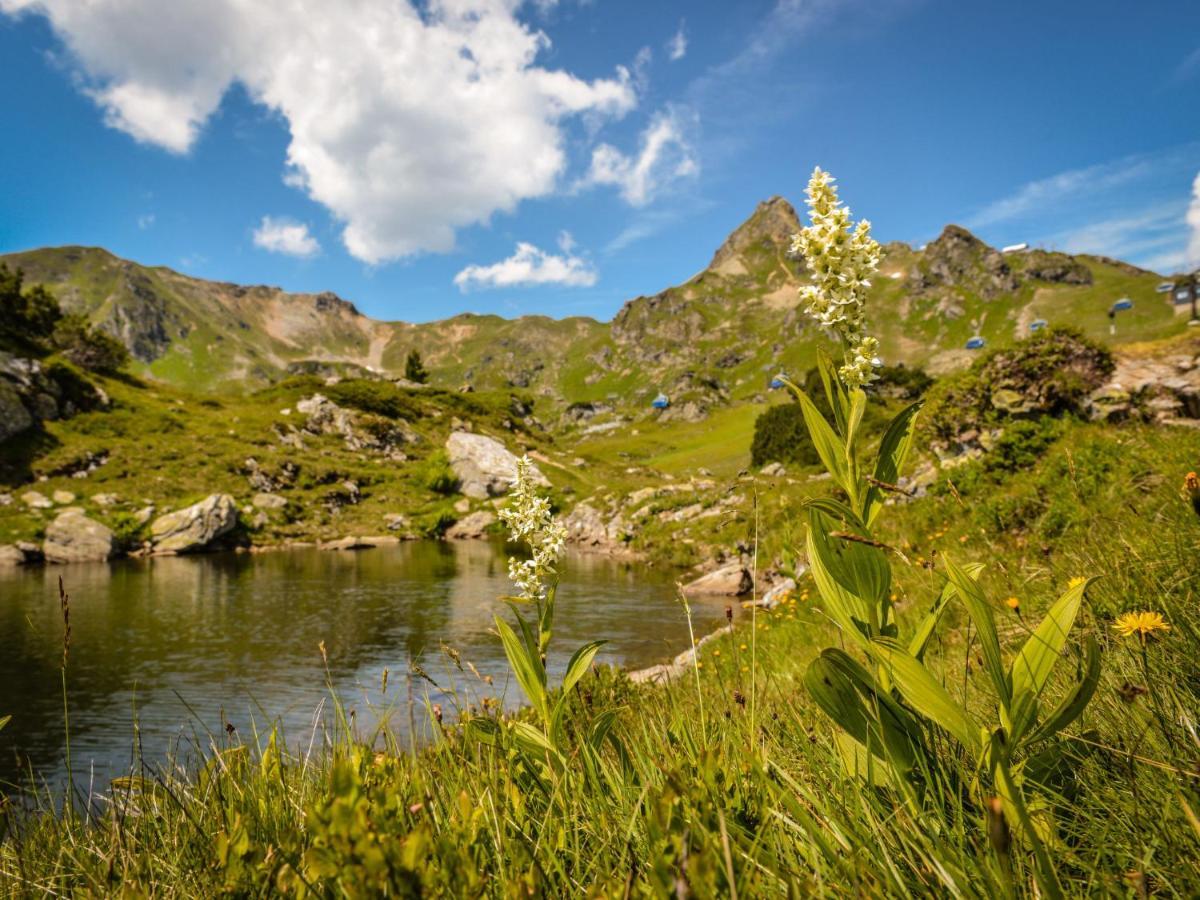 Holiday Home Steindlwald By Interhome Untertauern Eksteriør billede